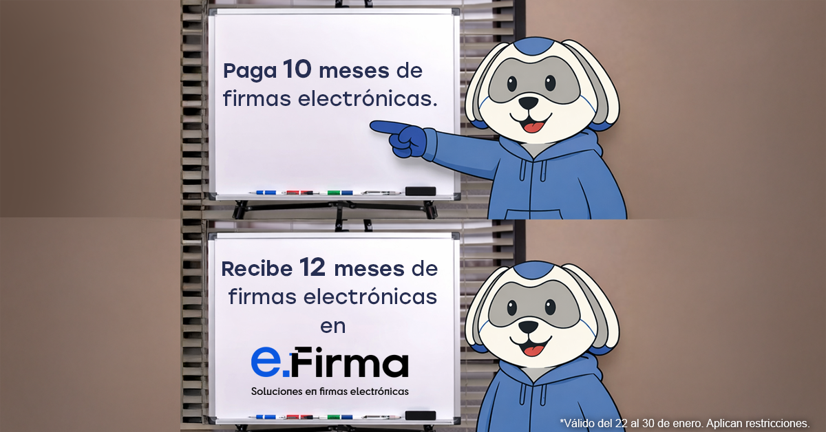 eFirma Promo
